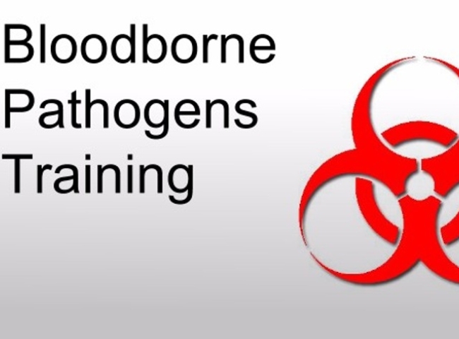 bloodborn pathogens training